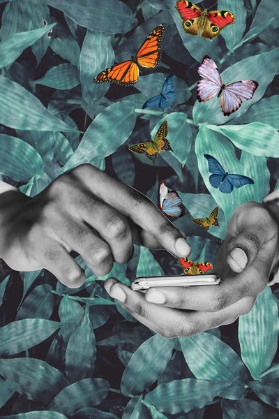 Monarch Butterflies: Believe In Your Magic by Kiki C Landon