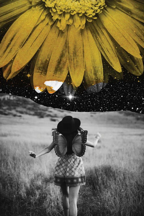Yellow by Kiki C Landon wall art