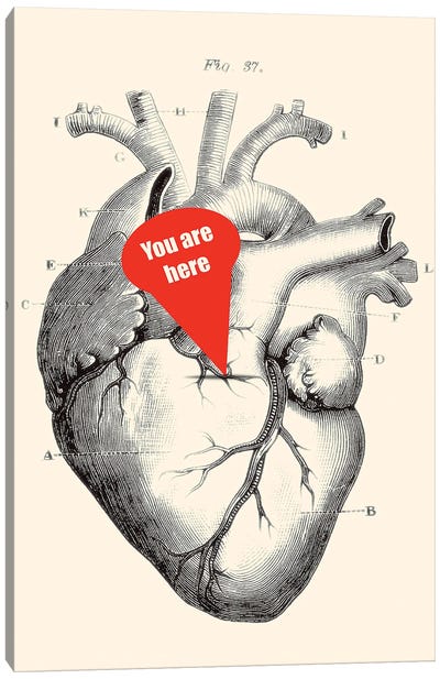 You Are Here Canvas Art Print - Anatomy Art