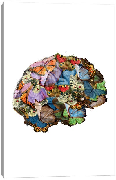 Butterflies In My Brain Canvas Art Print - Anatomy Art