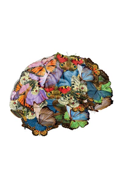 Kiki C Landon: Butterflies In My Brain by Kiki C Landon