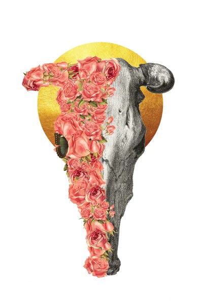 Boho Bull Skull by Kiki C Landon art print