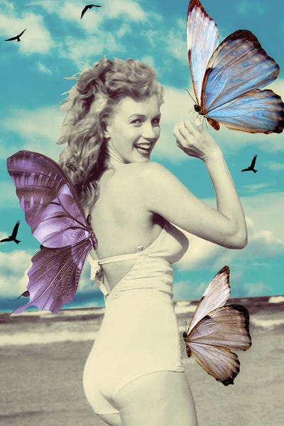 Kiki C Landon: Butterfly Symphony by Kiki C Landon