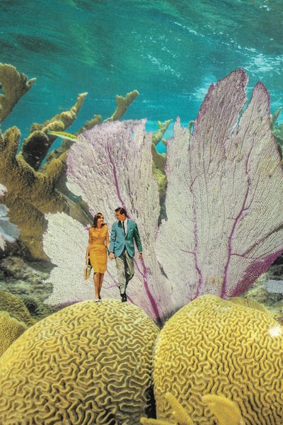 Coral: Under Water by Kiki C Landon