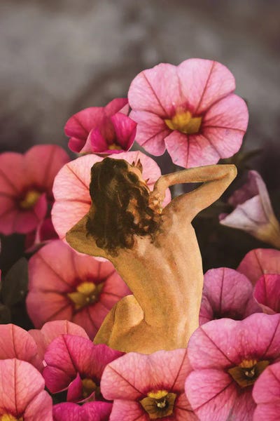 Kiki C Landon: Wild Awake by Kiki C Landon