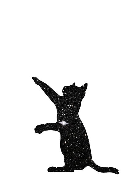 Black Cats: Cats I by Kiki C Landon