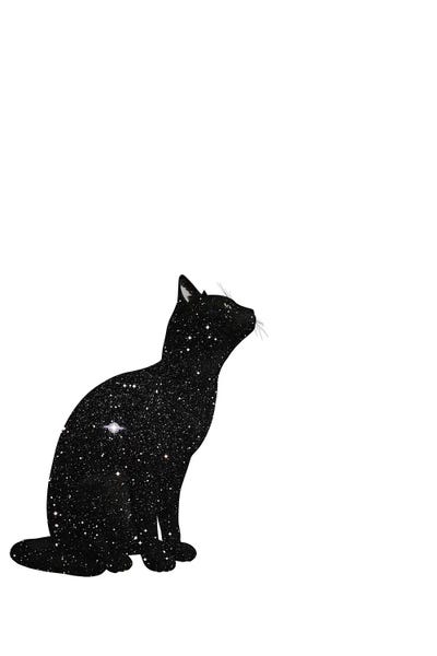 Black Cats: Cats II by Kiki C Landon