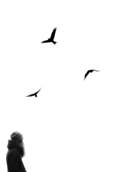 As Simple by Kiki C Landon framed wall art