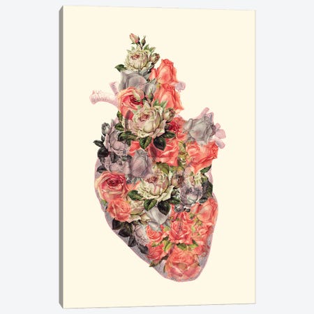 Floral Heart Canvas Print #KKL42} by Kiki C Landon Art Print