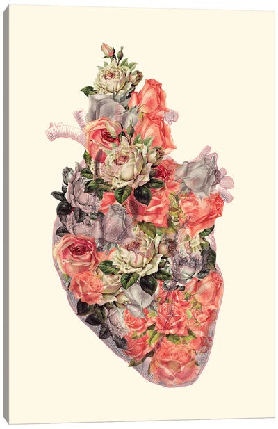 Floral Heart Canvas Art Print - Kiki C. Landon