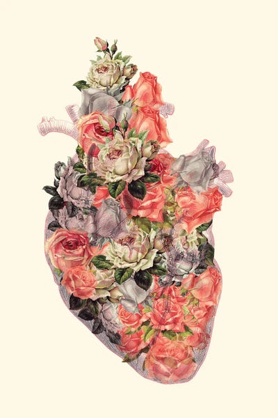 Biology: Floral Heart by Kiki C Landon