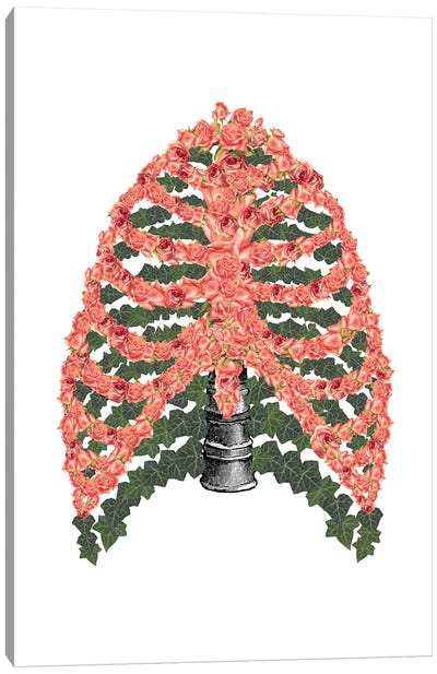 Floral Ribcage Canvas Art Print - Kiki C. Landon