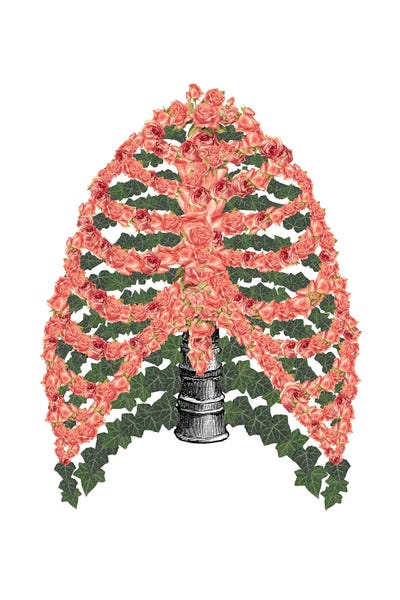 Biology: Floral Ribcage by Kiki C Landon