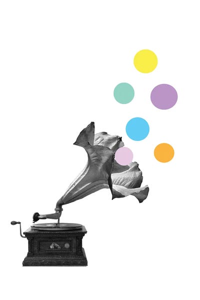 Minimalist Photography: Gramoflower by Kiki C Landon