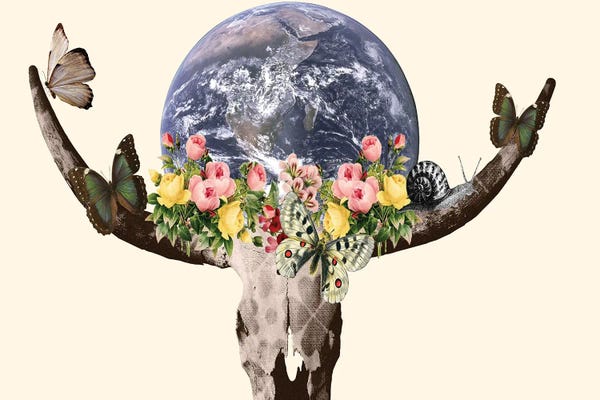 Kiki C Landon: Holy Bullskull by Kiki C Landon