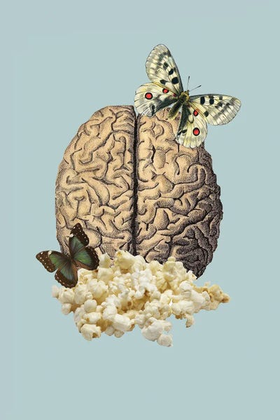 Biology: Holy Popcorn by Kiki C Landon