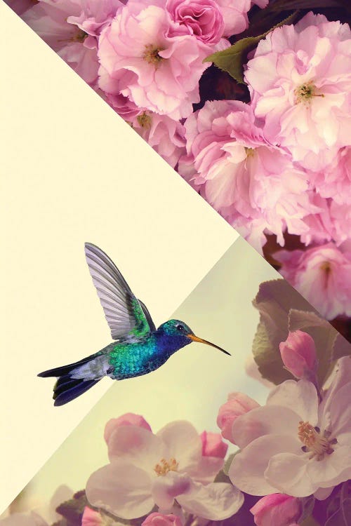 Humming Bird In Love