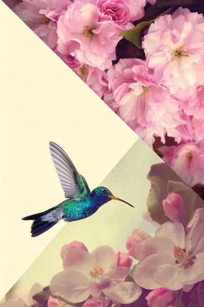 Hummingbirds: Humming Bird In Love by Kiki C Landon