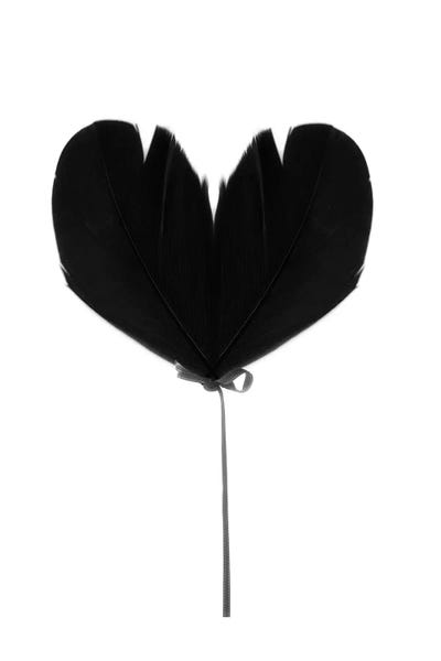 Balloon Heart by Kiki C Landon framed wall art