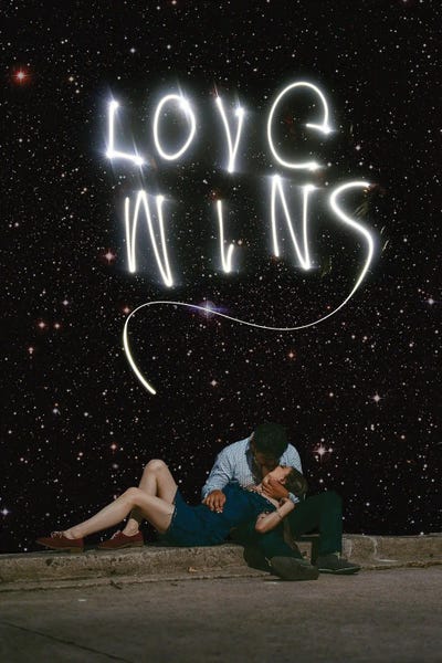 Love Wins by Kiki C Landon framed wall art