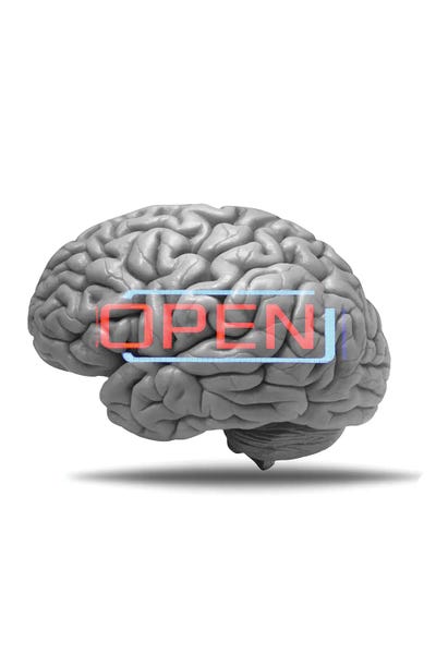 Science: Openminded by Kiki C Landon