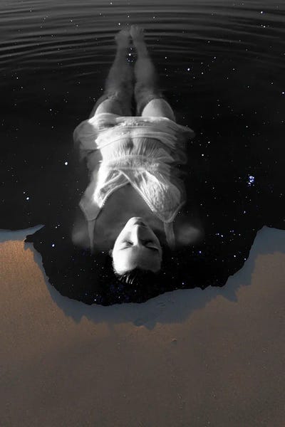 Plenitude by Kiki C Landon framed wall art