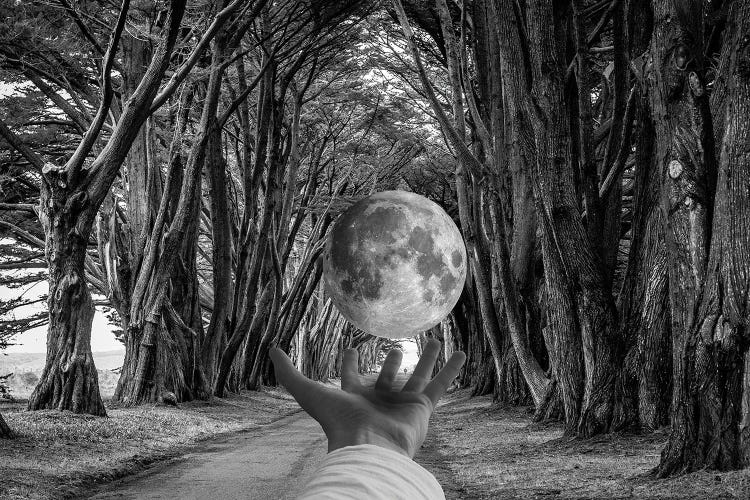 Save It by Kiki C Landon wall art