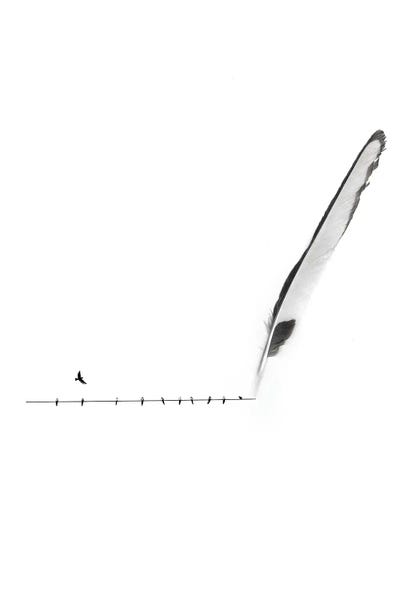 Say No Words by Kiki C Landon framed wall art