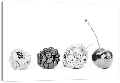 Silver Fruits Canvas Art Print - Black & White Minimalist Décor