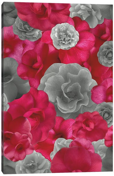 A Storm Through Rose Colored Glasses Canvas Art Print - Kat Kleinman