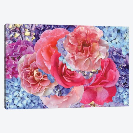 Hydrangeas with Roses Canvas Print #KKM46} by Kat Kleinman Art Print