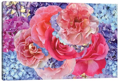 Hydrangeas with Roses Canvas Art Print - Hydrangea Art