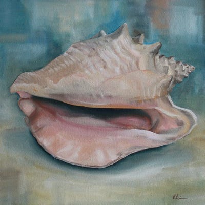 Conch by Kristine Kainer canvas print