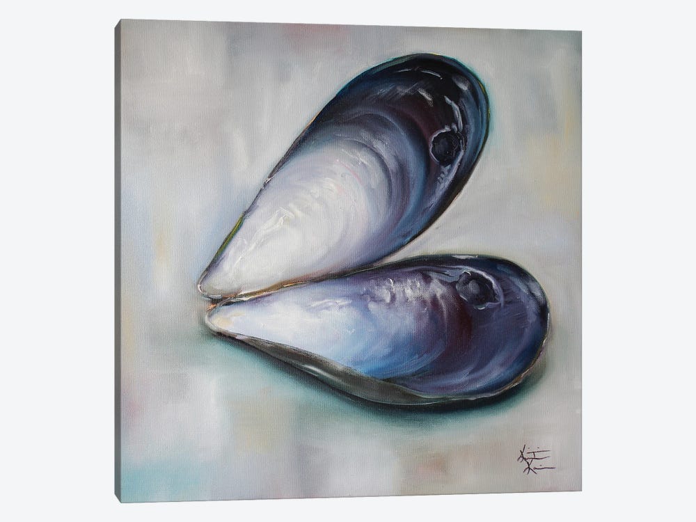 Empty Mussel by Kristine Kainer 1-piece Canvas Art Print