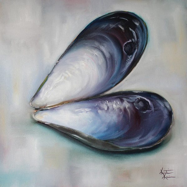 Oysters: Empty Mussel by Kristine Kainer