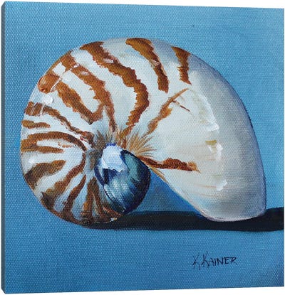Nautilus Shell Canvas Art Print - Contemporary Coastal