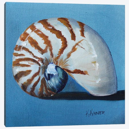 Nautilus Shell Canvas Print #KKN56} by Kristine Kainer Canvas Art Print