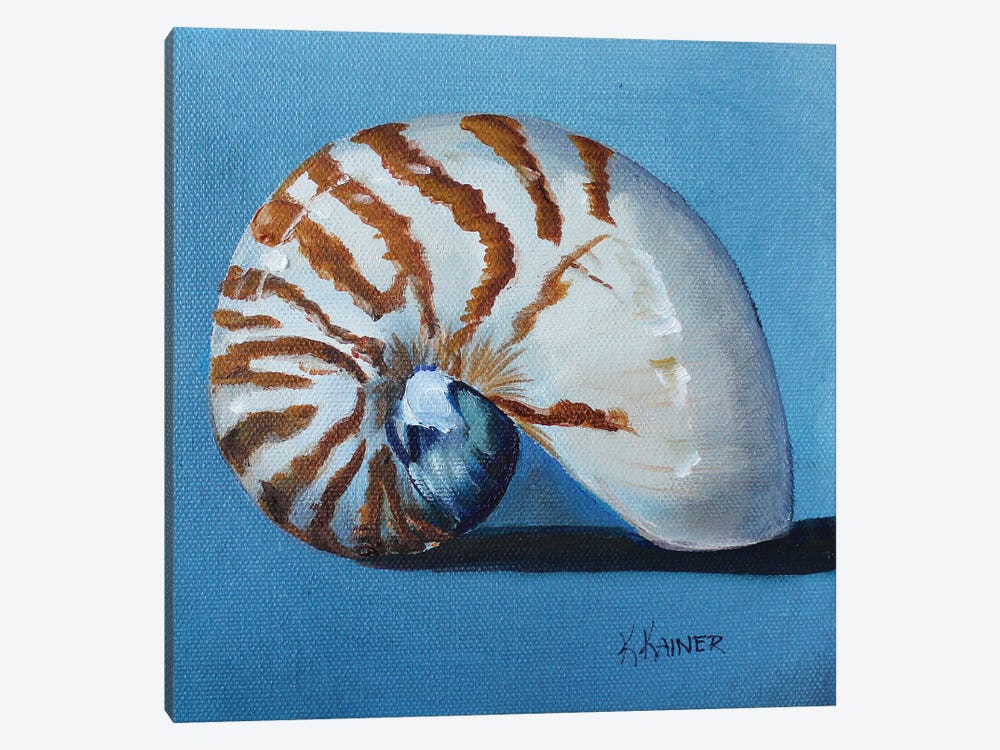 Nautilus Shell by Kristine Kainer 1-piece Canvas Print