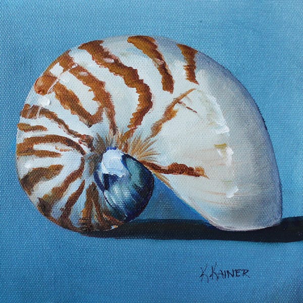 Natural Elements: Nautilus Shell by Kristine Kainer