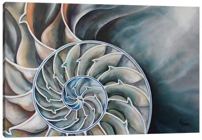 Nautilus Interior Canvas Art Print - Sea Shell Art