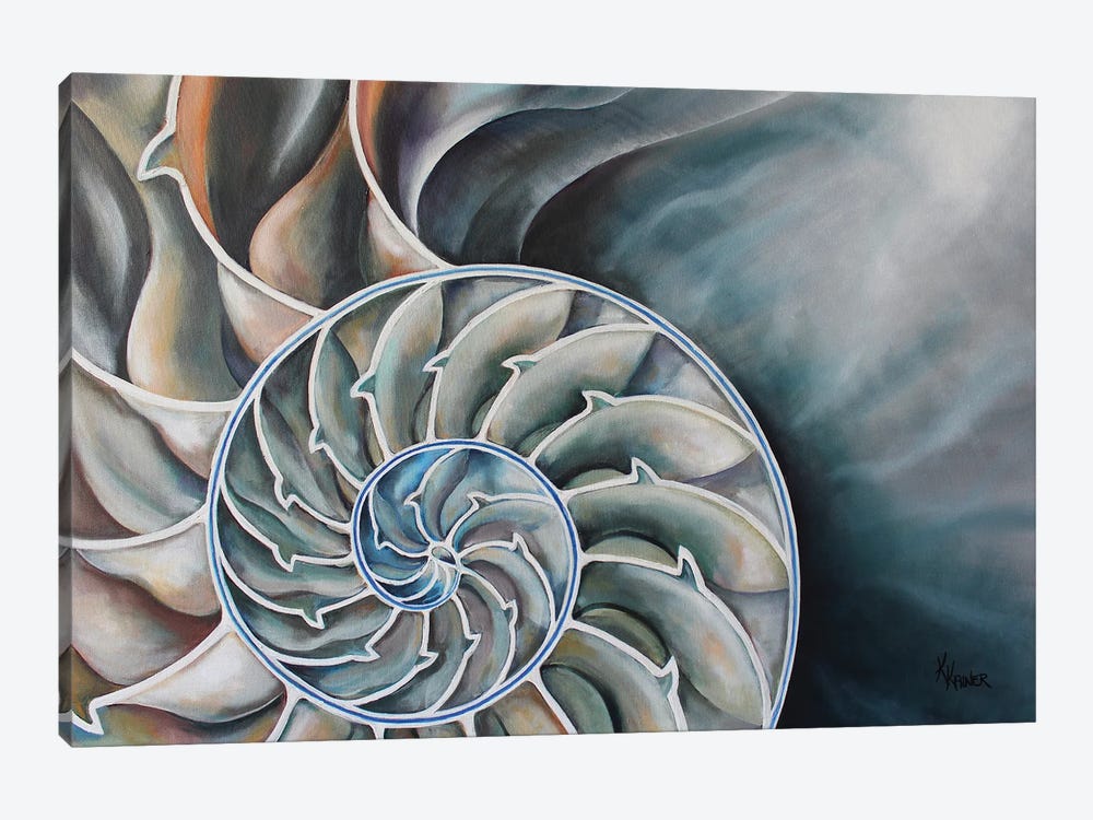 Nautilus Interior by Kristine Kainer 1-piece Canvas Wall Art