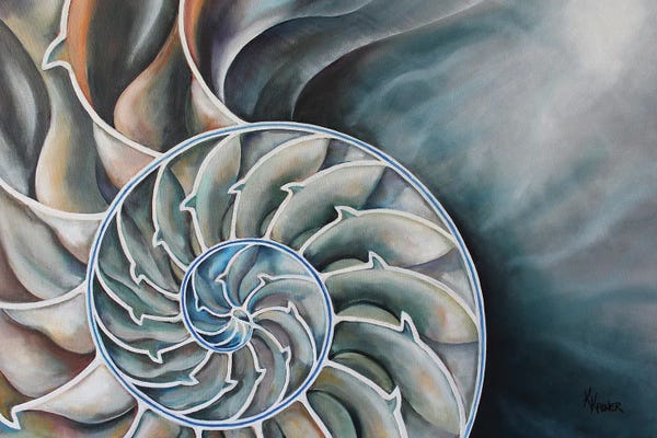 Natural Elements: Nautilus Interior by Kristine Kainer