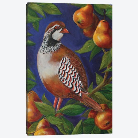 Partridge In A Pear Tree Canvas Print #KKN61} by Kristine Kainer Canvas Art Print