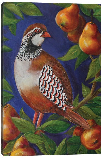 Partridge In A Pear Tree Canvas Art Print - Kristine Kainer