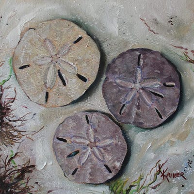 Sand Dollars by Kristine Kainer framed canvas print
