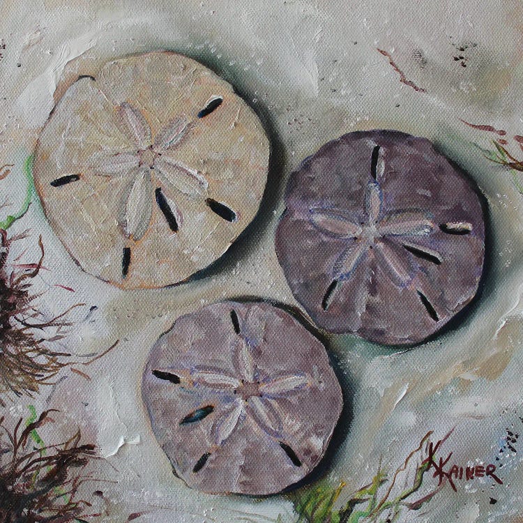 Sand Dollars by Kristine Kainer wall art