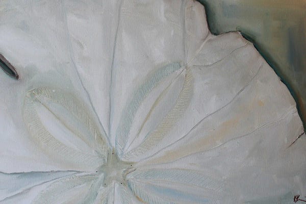 Natural Elements: Sand Dollar by Kristine Kainer