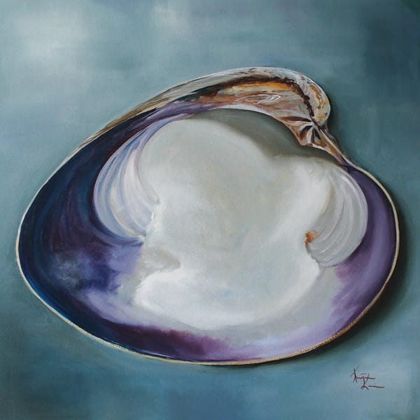 Contemporary Coastal: Clam Shell by Kristine Kainer