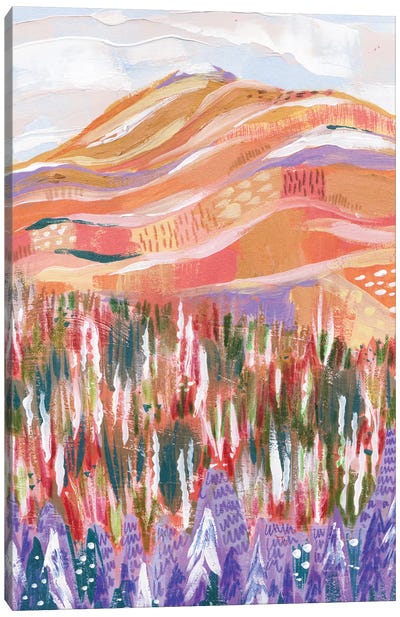 Colorful Mountain (Deep Dawn) Canvas Art Print - Kartika Paramita