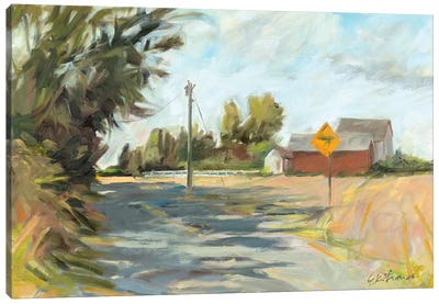 Dry Slough Road Canvas Art Print